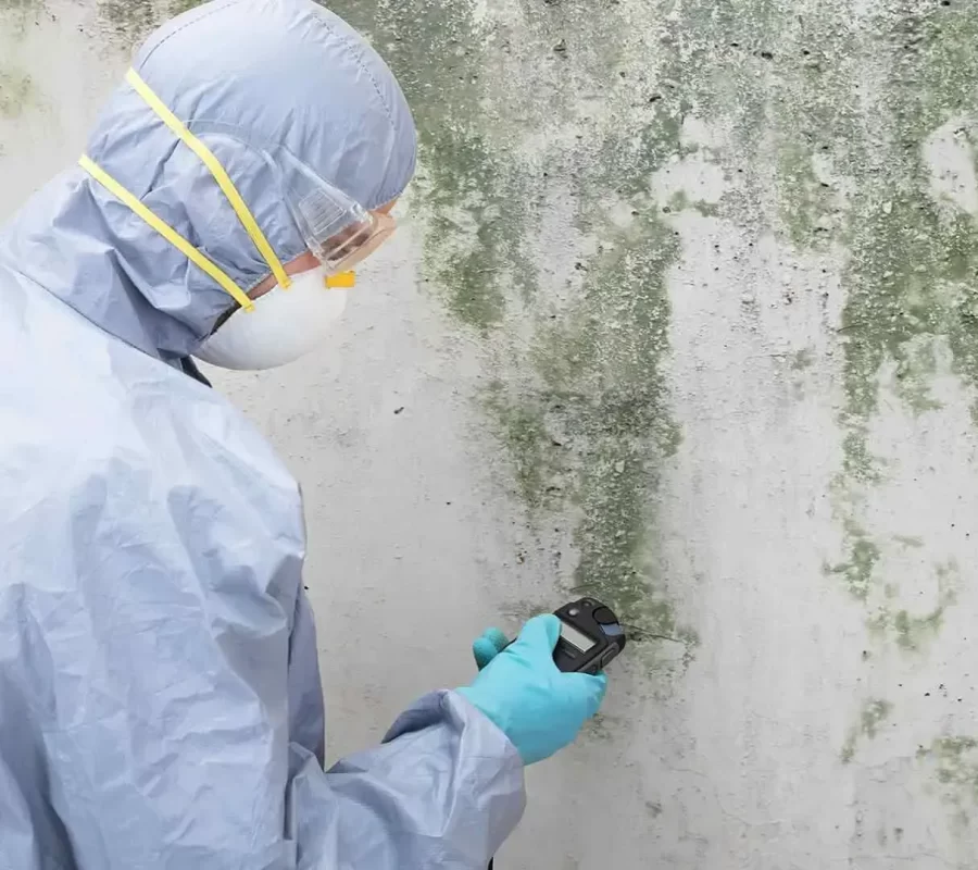 imgi_10_imgi_181_mold-mitigation-Prestige-nw-construction-services