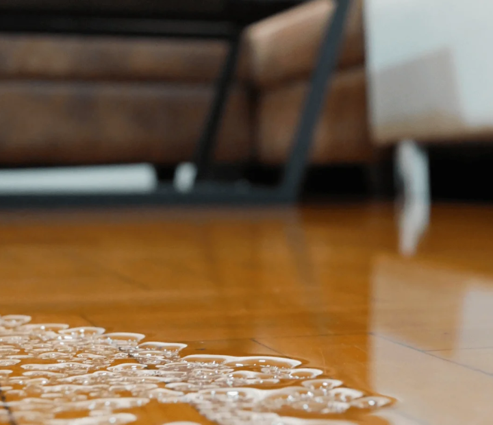 imgi_23_imgi_220_Flood-Damage-Repair-Services-What-to-Expect-During-Water-Damage-Restoration