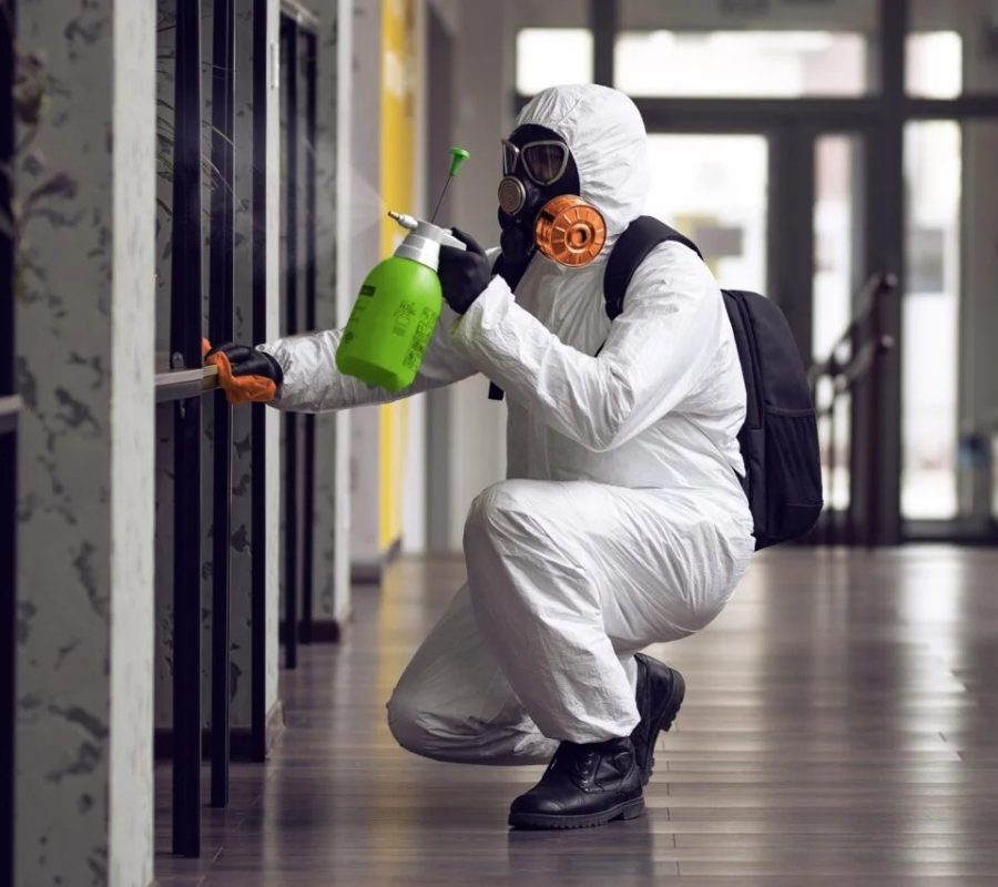 imgi_2_imgi_162_Commercial_Mold_Page_Resize-1024x853