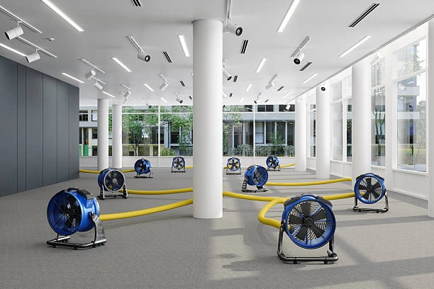 Reliable Water Restoration Services in Augusta, GA