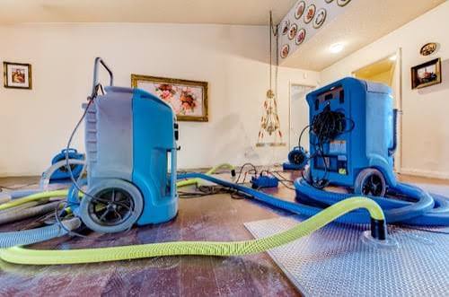 Mold mitigation
