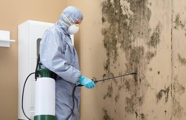 Mold Cleanup Services