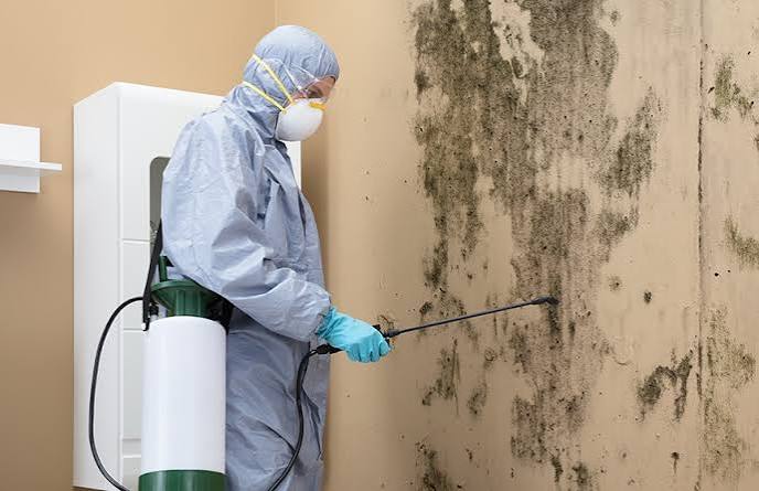 Mold Cleanup Services