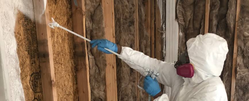 Mold Remediation