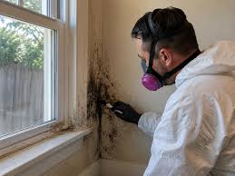 mold inspection